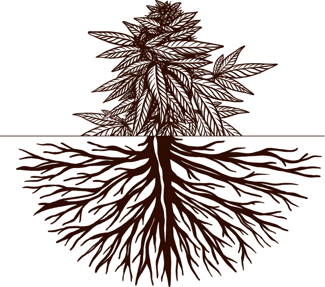 Building Strong Roots - Guide to Growing Hemp and Cannabis