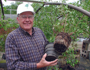 Who Invented Air-Root-Pruning?