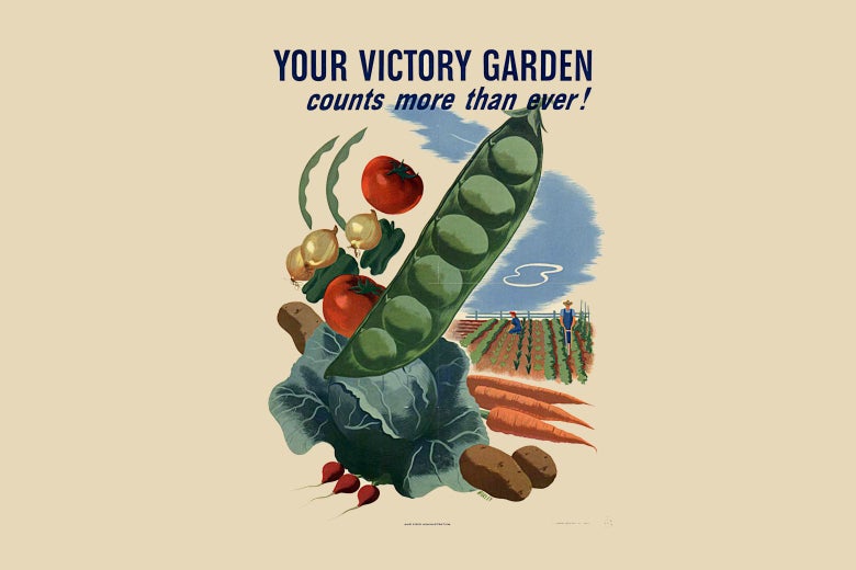 Plant your Victory Garden 2.0