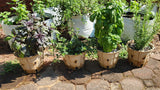 Plantable RootMaker® 1-Gallon BioPot