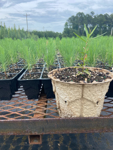 Rotemaker Pat Plantable RootMaker® 1-Gallon BioPot